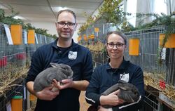 Thomas Heini und seine Frau Manuela zeigen ihre ausgezeichneten Perlfeh-Kaninchen. FOTO: STRAUB