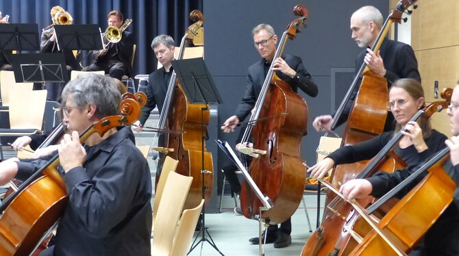 Cello, Kontrabass, Sinfonieorchester Neckar-Alb, SinfoNeA, Festhalle Kusterdingen Das Sinfonieorchester Neckar-Alb (SinfoNeA) in der Kusterdinger Festhalle.
