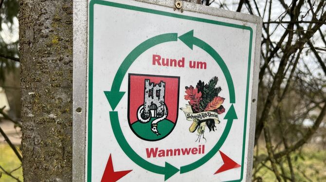 Beim Wandern rund um Wannweil herum können sich Interessierte selbst ein Bild vom Zustand des Gemeindewaldes machen, den Förster