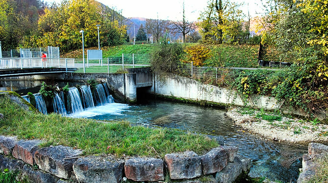 Auf dem Hochufer am Diegele-Wehr wurden Reste von hochmittelalterlichen Gebäuden gefunden.