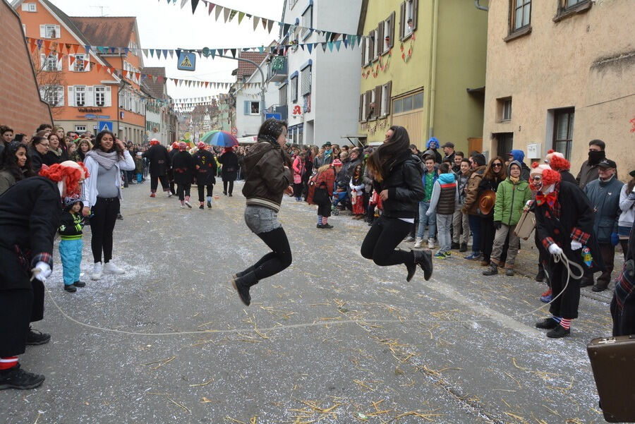 Großer Ommzug in Rottenburg 2015