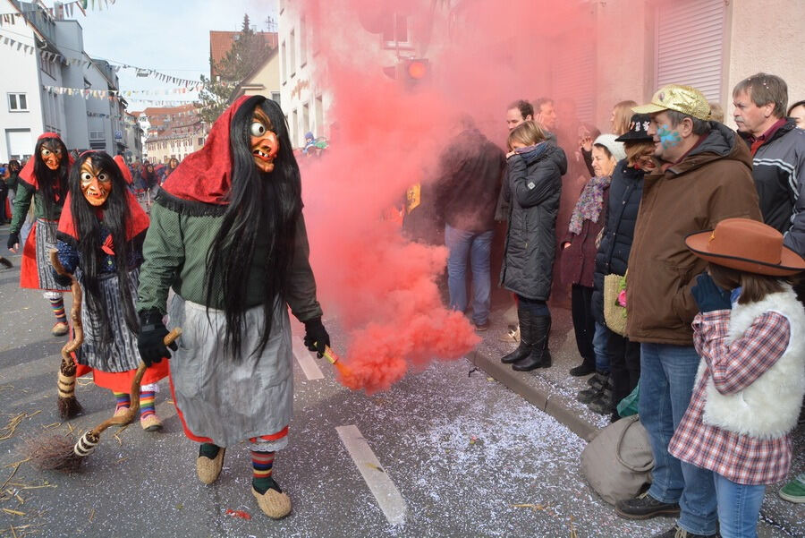 Großer Ommzug in Rottenburg 2015