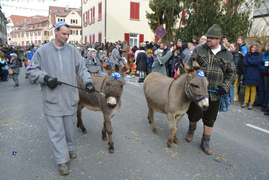 Großer Ommzug in Rottenburg 2015