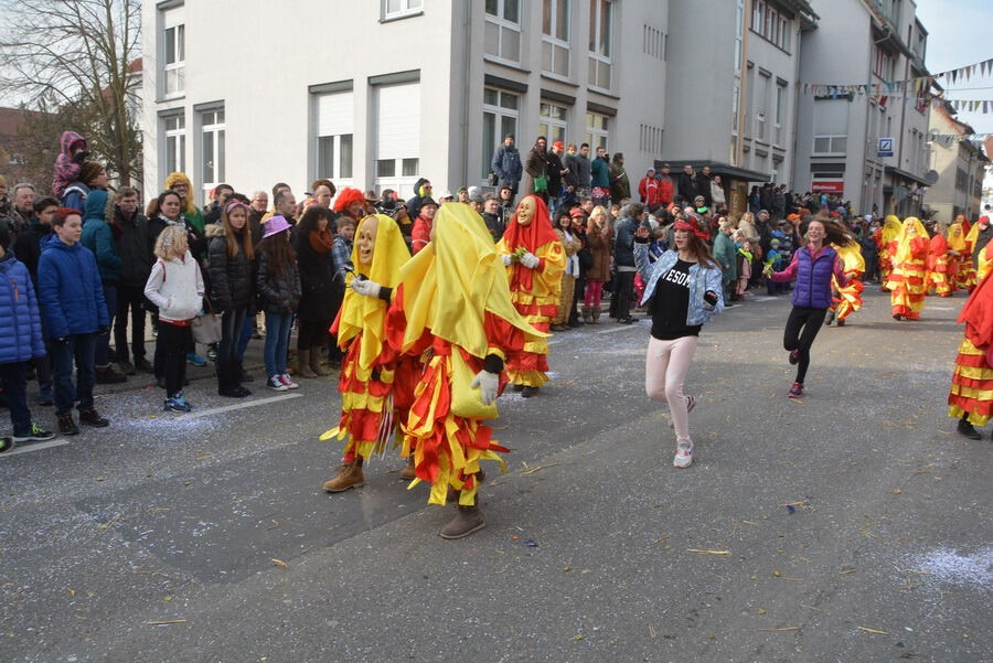 Großer Ommzug in Rottenburg 2015