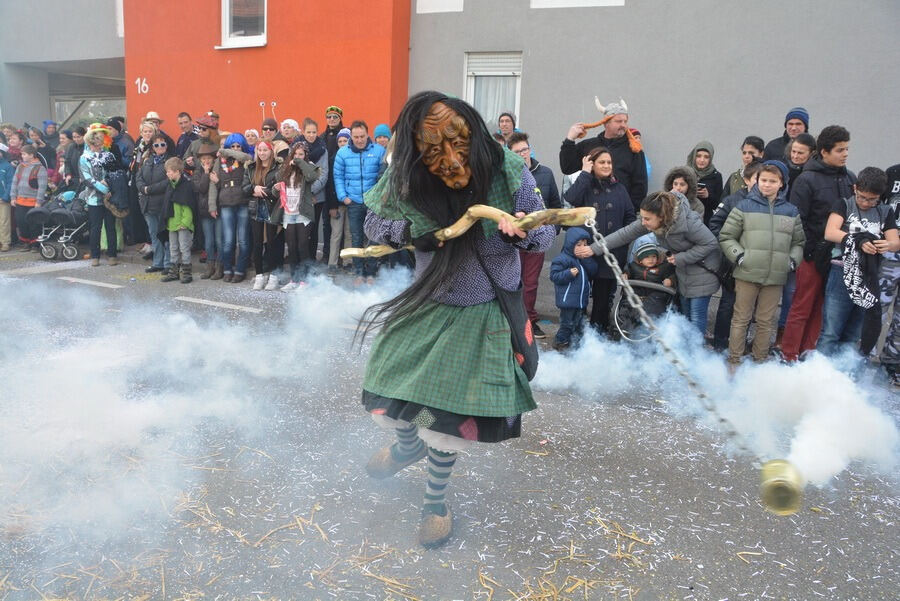 Großer Ommzug in Rottenburg 2015