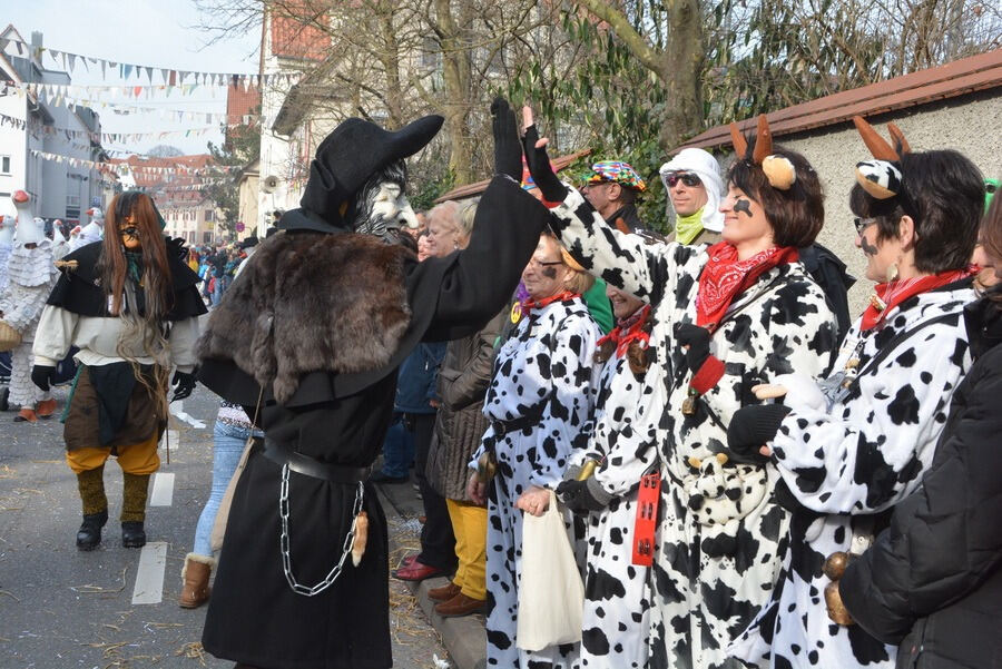 Großer Ommzug in Rottenburg 2015