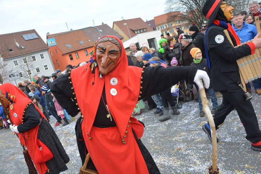 Großer Ommzug in Rottenburg 2015