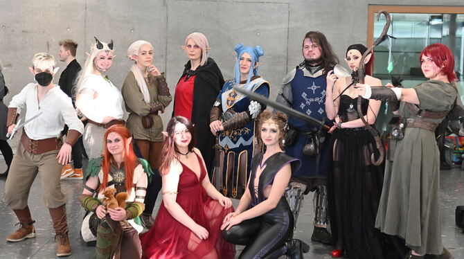 Nicht von dieser Welt: Elfen und andere Fantasy-Charaktere auf der Stuttgarter Comic Con. FOTO: MEYER