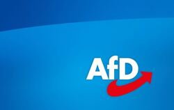 Der AfD ist ihre Jugendorganisation zu radikal geworden. 