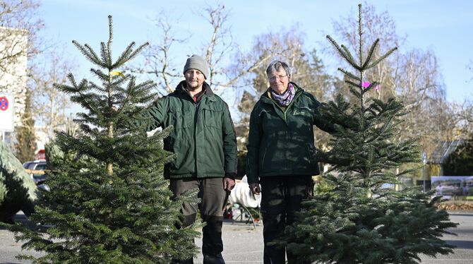 Bilden heuer die Vorhut des Christbaumverkaufs an der Kreuzeiche (von links):  Sivul Bogdan und Hella Fischer.