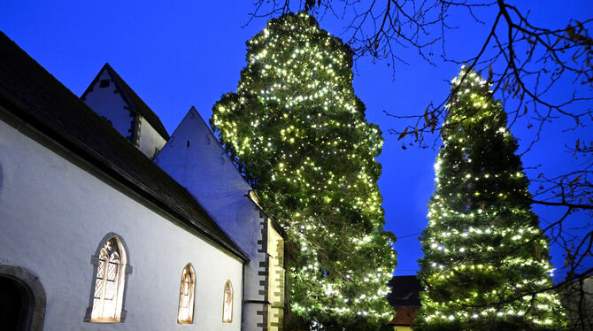 (Nicht nur) in der Adventszeit einen Ausflug wert: die Bronnweiler Marienkirche am Mammutbaum.  FOTO: PIETH