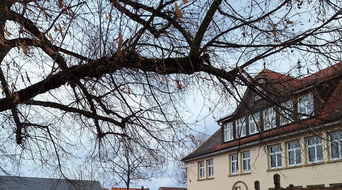 Der Schulhof in Nehren ist ein beliebter Treffpunkt für Kinder und Jugendliche