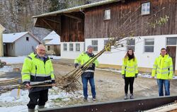 Die Obst- und Laubbäume werden von Roland Armbruster (von links), Dirk Wortmann, Lina Krüger und Tim Schultze vom Landratsamt Re