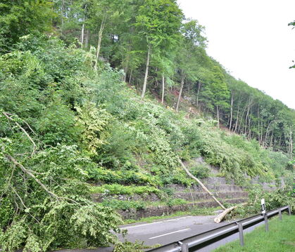 Aufwendig: Die Verkehrssicherung, wie 2017  an der Holzelfinger Steige, trägt zum großen Defizit im Lichtensteiner Waldkultur- u