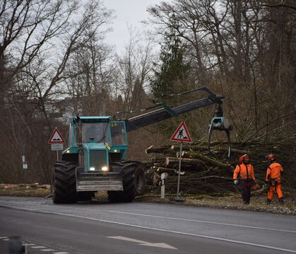 Die Baumfällarbeiten am Südring  gehörten zu einer  ganzen Reihe an Maßnahmen zur Verkehrsicherheit, die im Kirchentellinsfurter