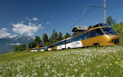 GoldenPass_Zug-Wiese