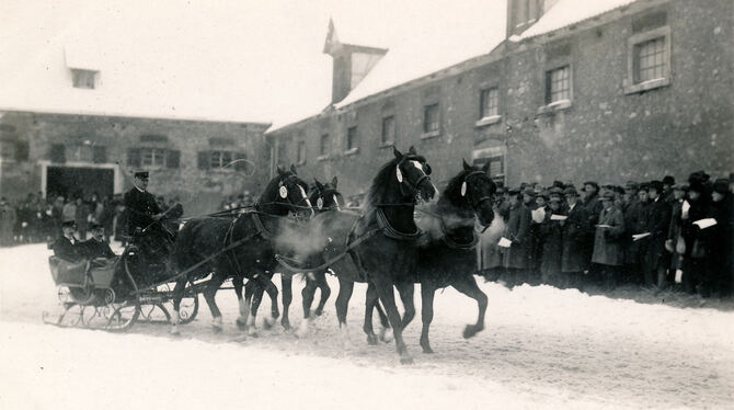 Mit Hengst-Vorführung auf dem Gestütshof Offenhausen begann die 100-jährige Geschichte der Hengstparaden. FOTO: ARCHIV MARBACH