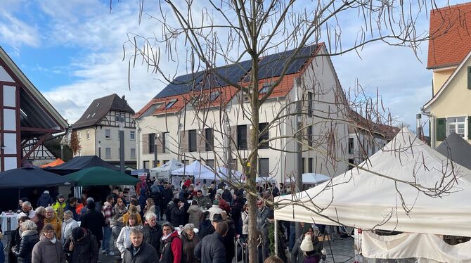 Bereits zur Eröffnung des Christkindlesmarkts in Walddorf zur Mittagszeit sind die Bewohner Walddorfhäslachs in der Ortsmitte