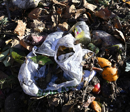 Plastiktüten im Biomüll.