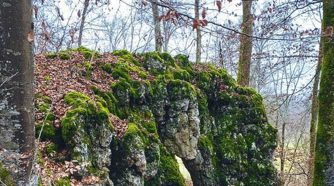 Hier beginnt das Abenteuer: Hinter dem Steinbogen liegt die Höhle.