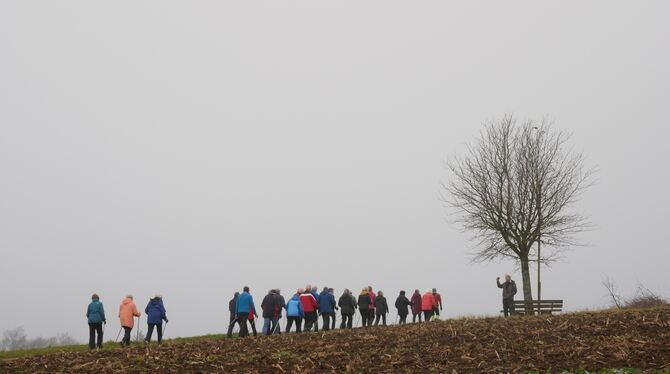 Beim Jubiläumswalking zum 25-jährigen Bestehen des Treffs rund um Hengen war das Wetter eher bescheiden. Macht nichts – gewalkt