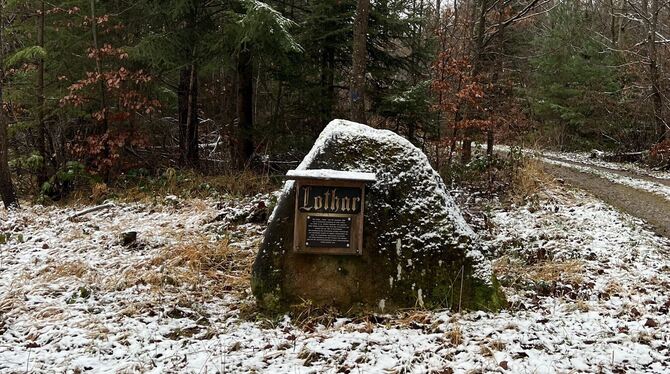 Denkmal für den Orkan im Rammert. :