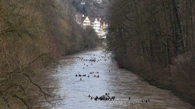 Was schwimmt den da? Rund 140 Rettungstaucher und -schwimmer haben sich am Dreikönigstag durch den Neckar treiben lassen. FOTO: