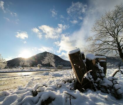 Auf dem großen Parkplatz im Uracher Kurgebiet sind in diesem Winter rund 130 Bäume gefällt worden. Keine Willkür von wilden Wald