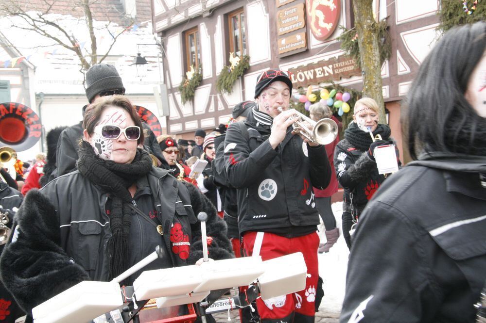 Fasnetsumzug in Hayingen 17. Februar 2015