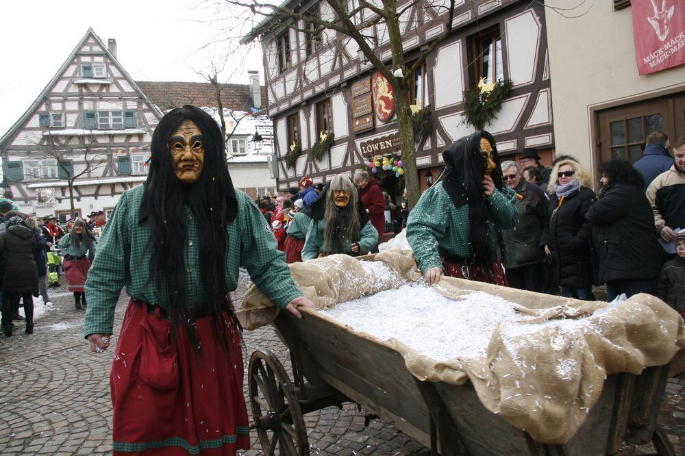 Fasnetsumzug in Hayingen 17. Februar 2015