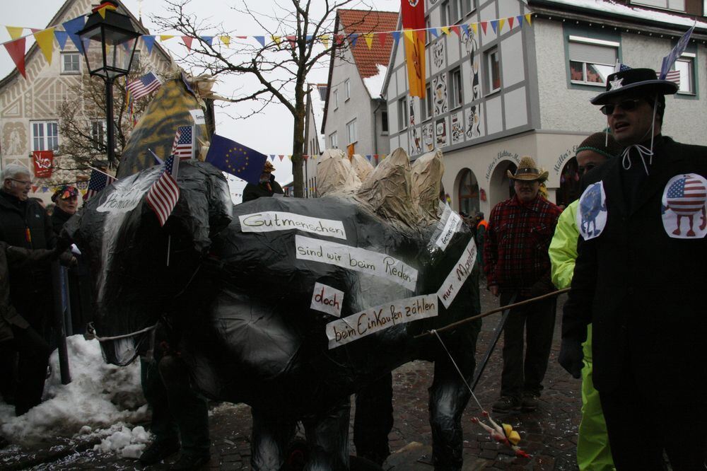 Fasnetsumzug in Hayingen 17. Februar 2015