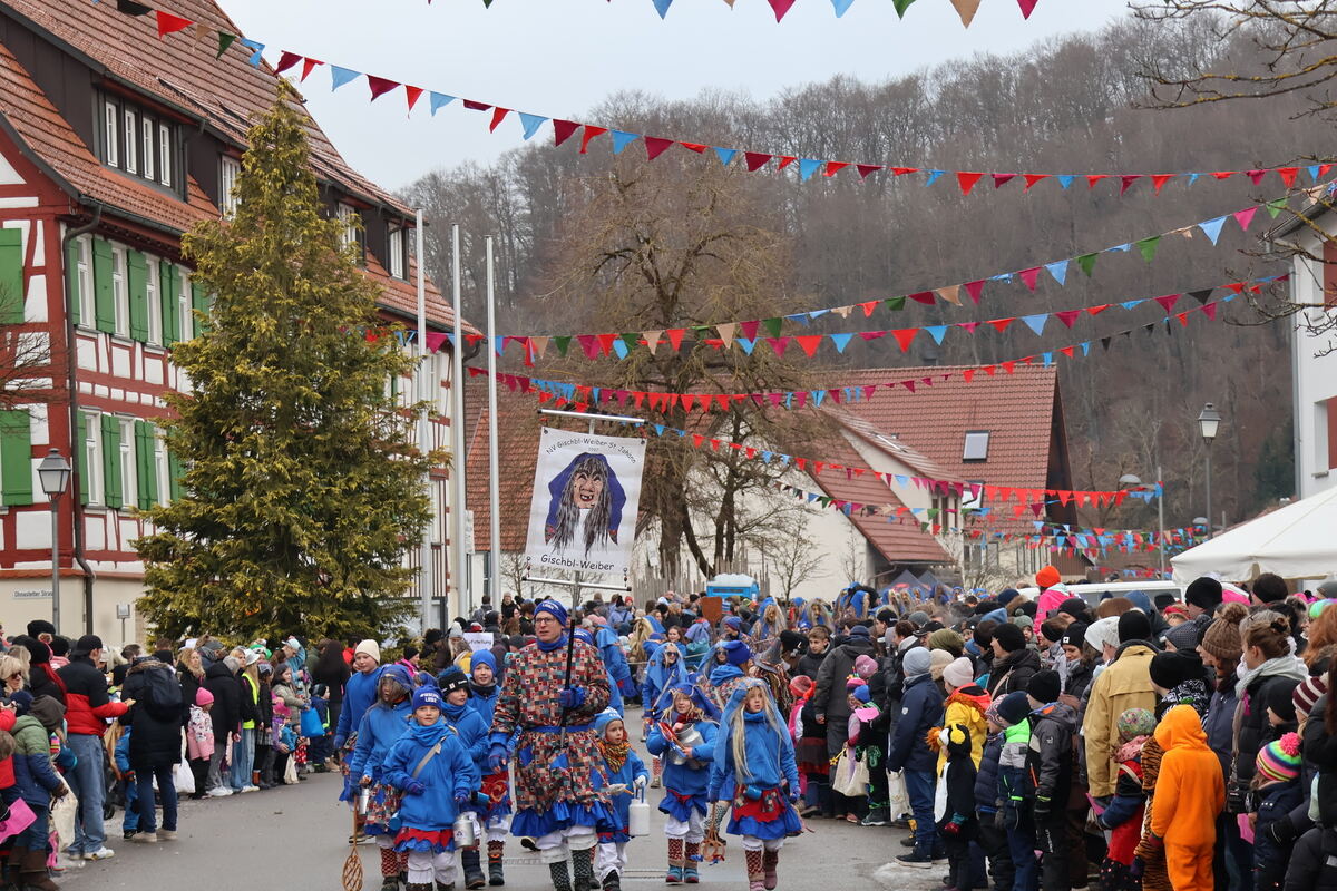 Narrenumzug Würtingen (2)