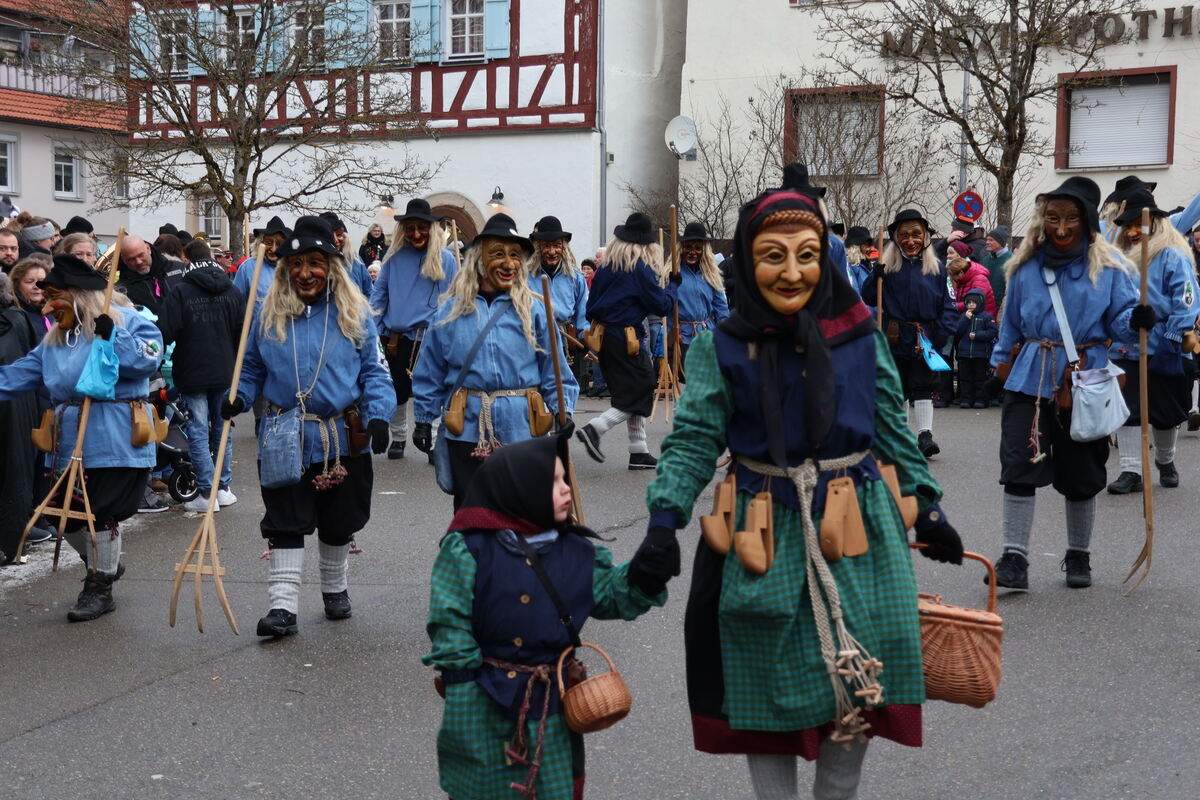 Narrenumzug Würtingen (4)