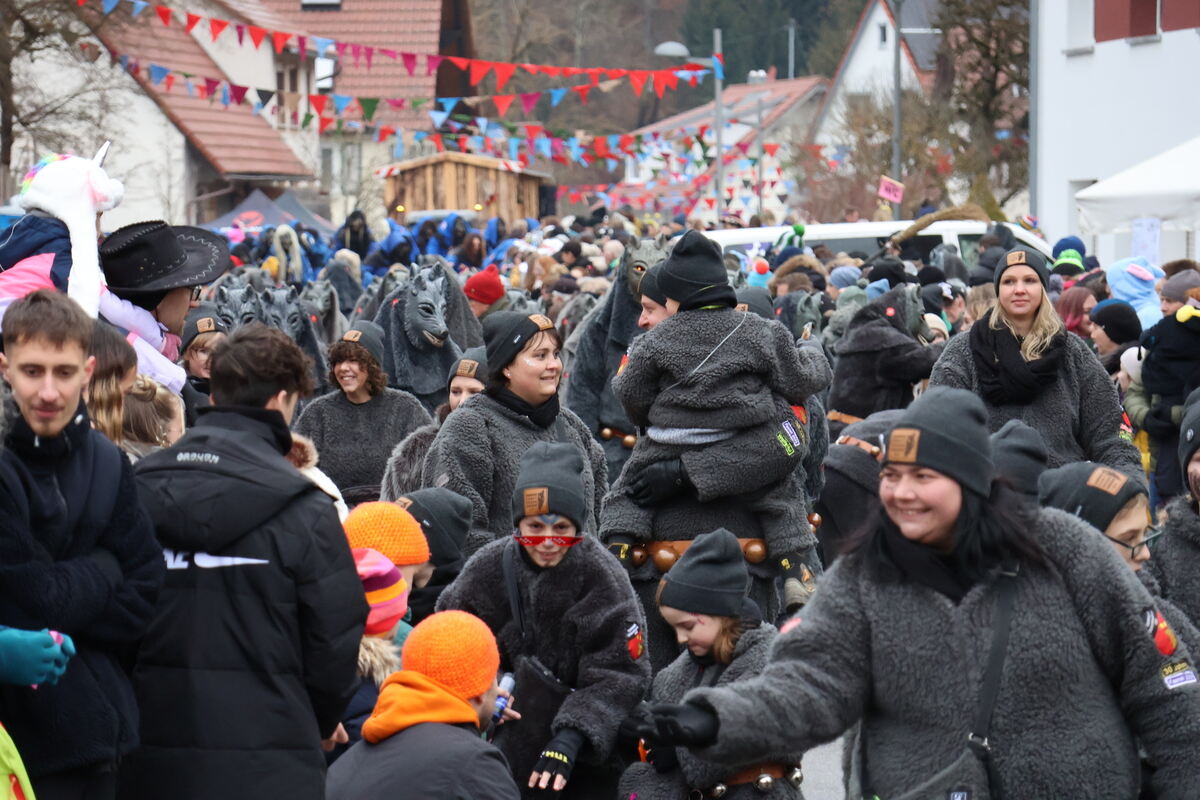 Narrenumzug Würtingen (6)