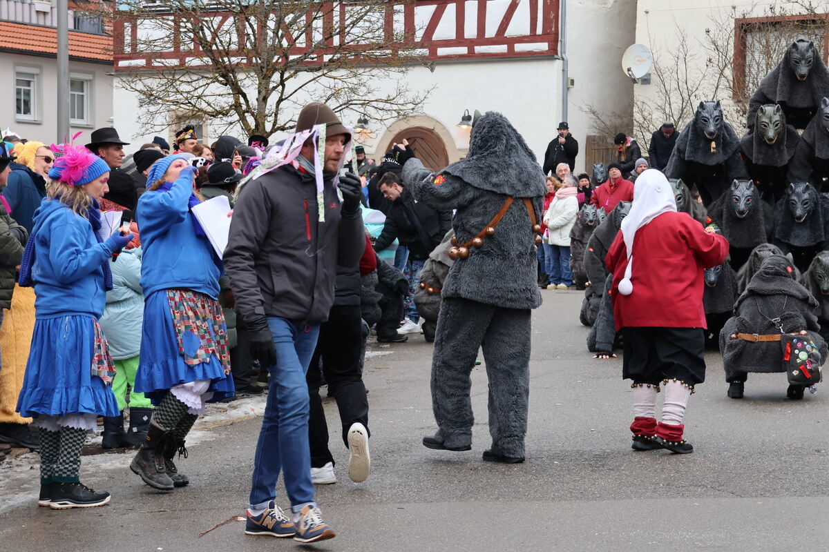 Narrenumzug Würtingen (10)