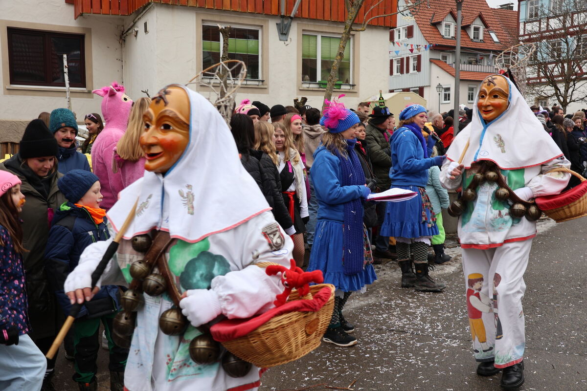 Narrenumzug Würtingen (14)