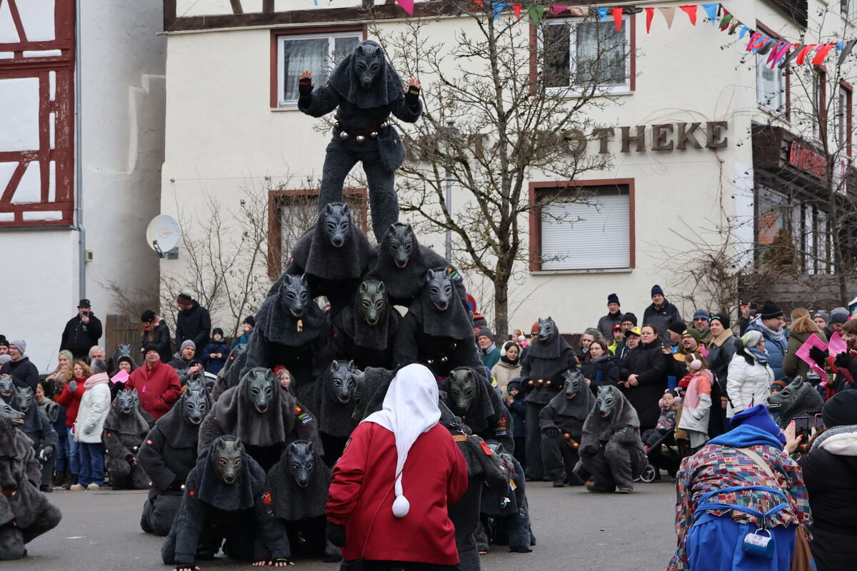 Narrenumzug Würtingen (15)