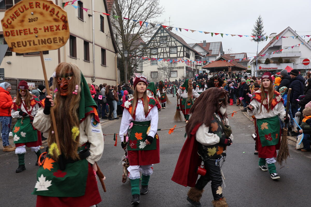 Narrenumzug Würtingen (18)