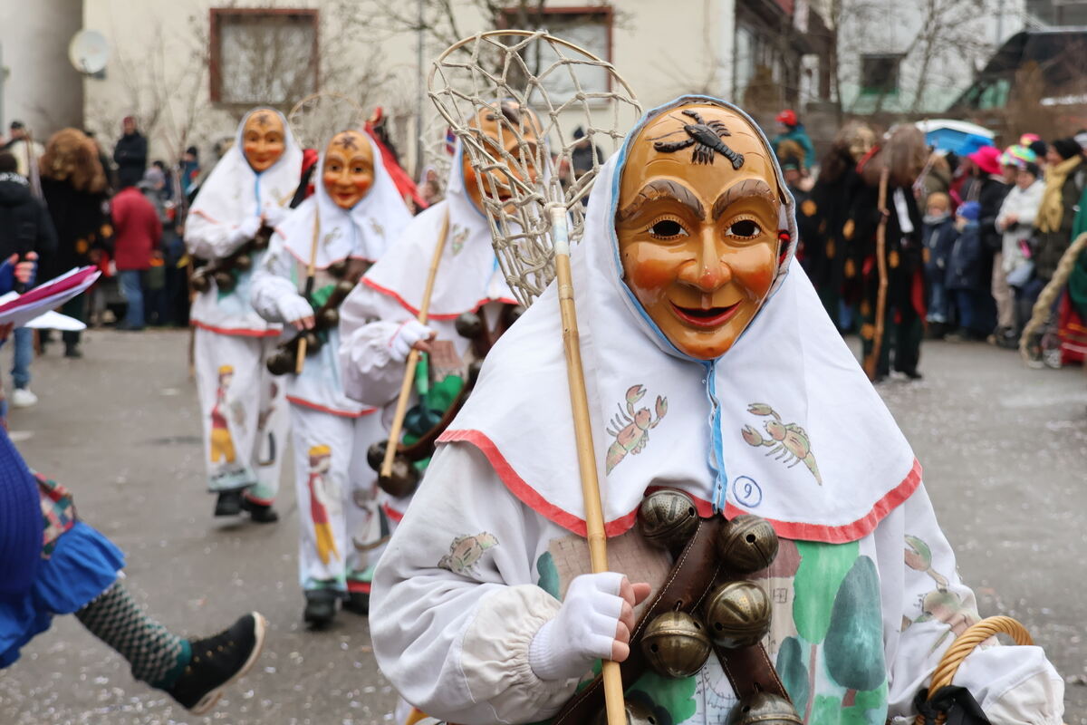 Narrenumzug Würtingen (25)