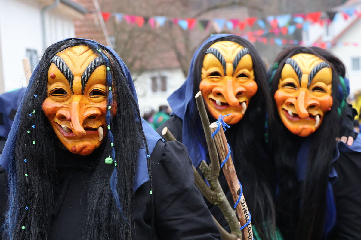 Narrenumzug Würtingen (31)