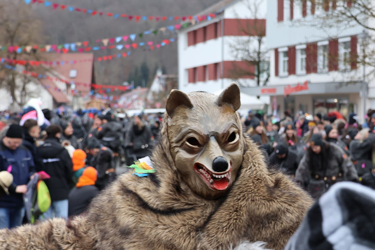 Narrenumzug Würtingen (33)