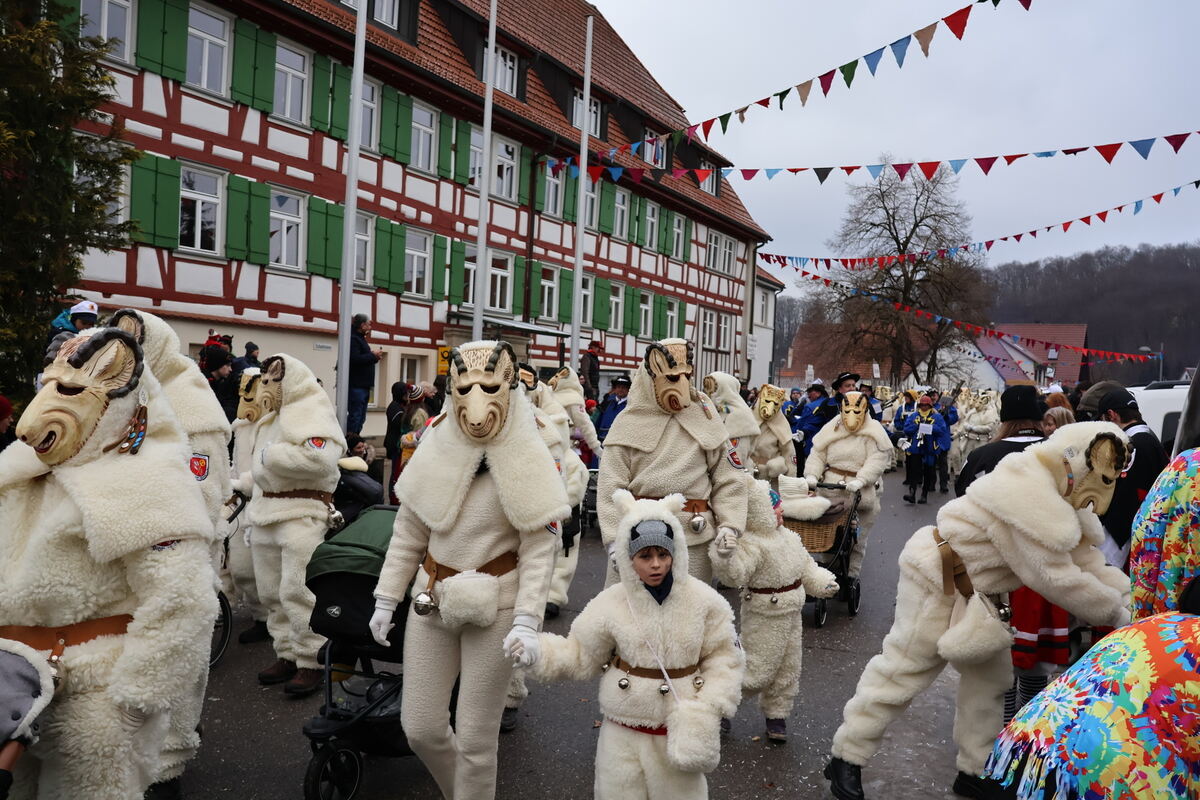 Narrenumzug Würtingen (50)