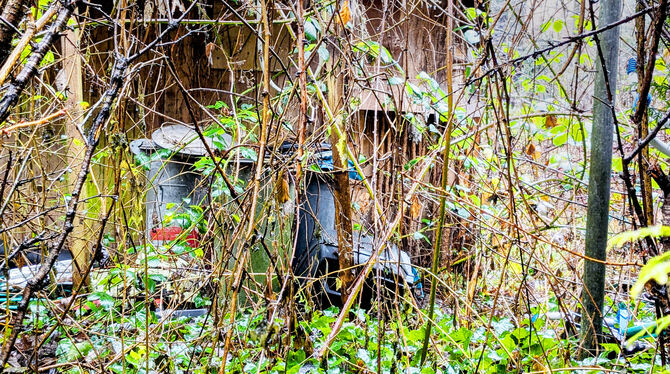 Verwildert und vermüllt: In diese Gartenhütte in Kaltental wurde ein 20-Jähriger verschleppt und gefoltert.  FOTO: OBST