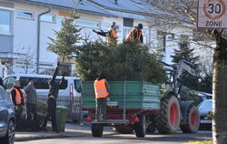 Ähnlich wie in Dettingen finden auch in anderen Gemeinden Sammelaktionen für Christbäume statt, hier waren dieser Tage eheranmtl