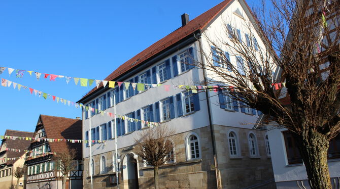 Im Nehrener Gemeinderat wurde auch über die Zukunft der Wärmeversorgung im Rathaus-Quartier gesprochen.