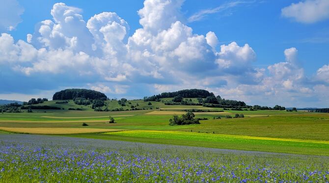 Vor einem Sommergewitter Ende Juni türmen sich die Wolken über den Feldern zwischen Ringingen und Salmendingen.  FOTO: KARLIN