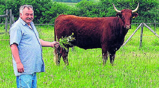 Hermann Rein, Sonnenbühl, mit einem seiner Salers-Rinder. 
FOTO: OPPERMANN