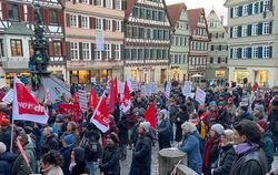 Vor der Sitzung des Gemeinderats versammelten sich die Menschen am Donnerstag auf dem Tübinger Marktplatz. Sie demonstrierten ge