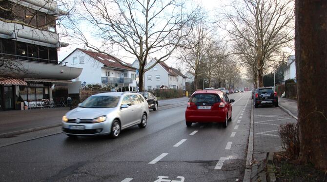 Zu viel Verkehr: Der Antrag der Linken, die Breitestraße zu einer Fahrradstraße zu machen, wurde abgelehnt.  FOTOS: FÖRDER