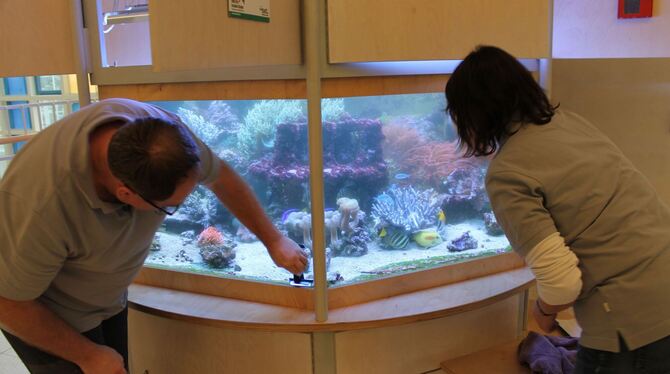 Thomas Musch bei der Pflege des Aquariums in der Kinderklinik Tübingen.  FOTO: PRIVAT